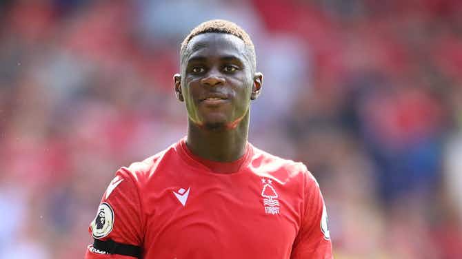 Preview image for Nottingham Forest target 17th summer signing with Moussa Niakhate ruled out for months