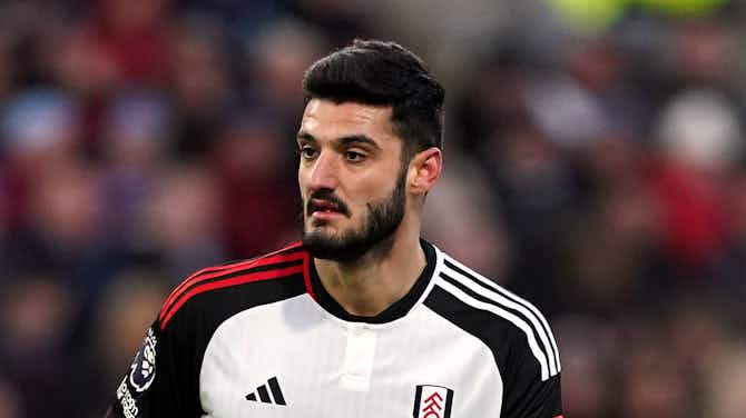 Preview image for Fulham boss Marco Silva tells fans what to expect from Armando Broja in team news hint