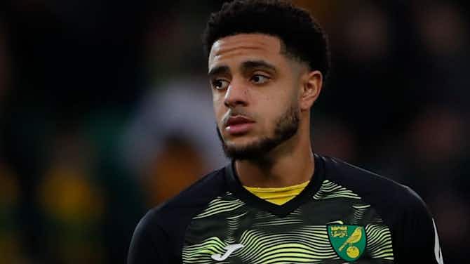 Preview image for Nottingham Forest set to make late transfer move for Norwich City player