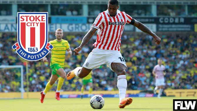 Preview image for How is ex-Aston Villa star Wesley getting on at Stoke City?