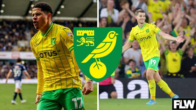 Preview image for Norwich City latest: Arsenal man to join, Sorensen boost, Gabriel Sara warning