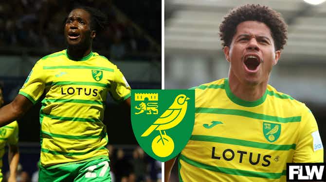 Preview image for Norwich City: How Rowe's transfer value compares to Sara according to AI
