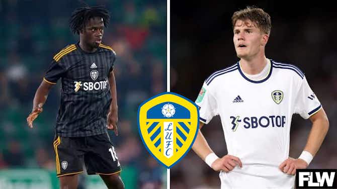 Preview image for It makes sense for Leeds United to loan out these 3 players in January