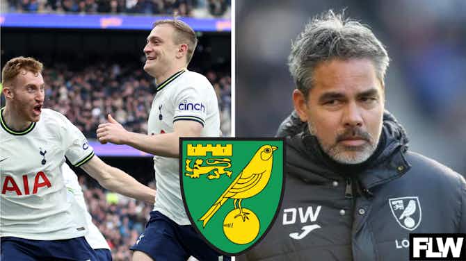 Preview image for The Tottenham player that Norwich City could really do with right now: View