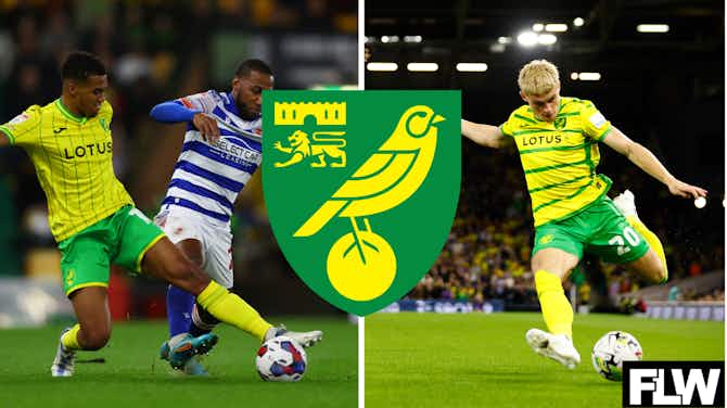 Preview image for These 2 Norwich City players have just a month to prove they are worth keeping around in January