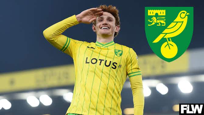 Preview image for Coventry City clash is a reminder of what Norwich City were missing: View
