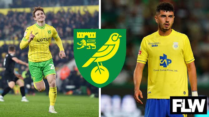 Preview image for Norwich City: Potential Josh Sargent replacement could be ex-Leeds United man signed by Bielsa