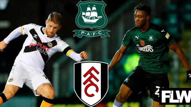 Preview image for You would be forgiven for forgetting Fulham and Plymouth Argyle transfer ever happened: View