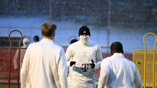 Anteprima immagine per 📸 Neve a Monaco: Kane in versione ninja per ripararsi dal freddo