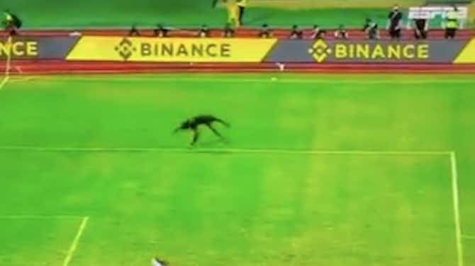 Anteprima immagine per Burkina Faso ai quarti di Coppa d’Africa: il portiere impazzisce – VIDEO