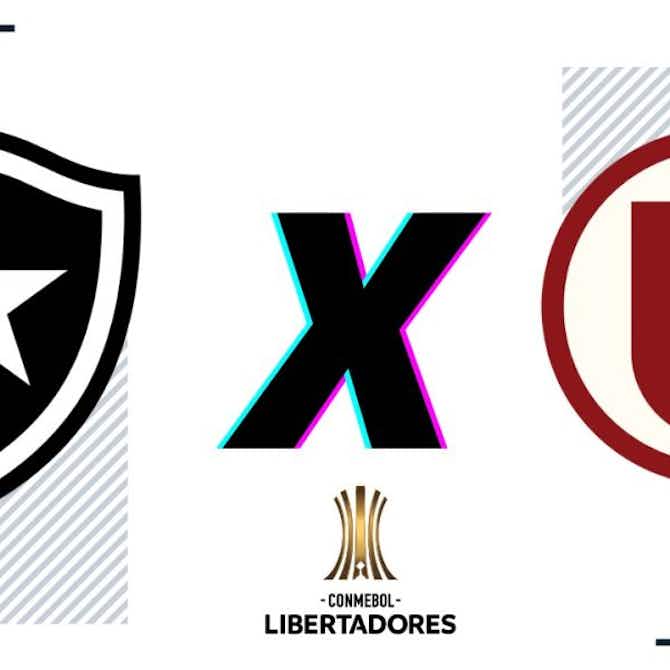 Imagem de visualização para Botafogo x Universitario: retrospecto, prováveis escalações, arbitragem, onde assistir e palpites