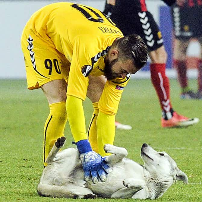 Anteprima immagine per Vardar-Rosenborg, simpatico fuori programma: un cane in campo