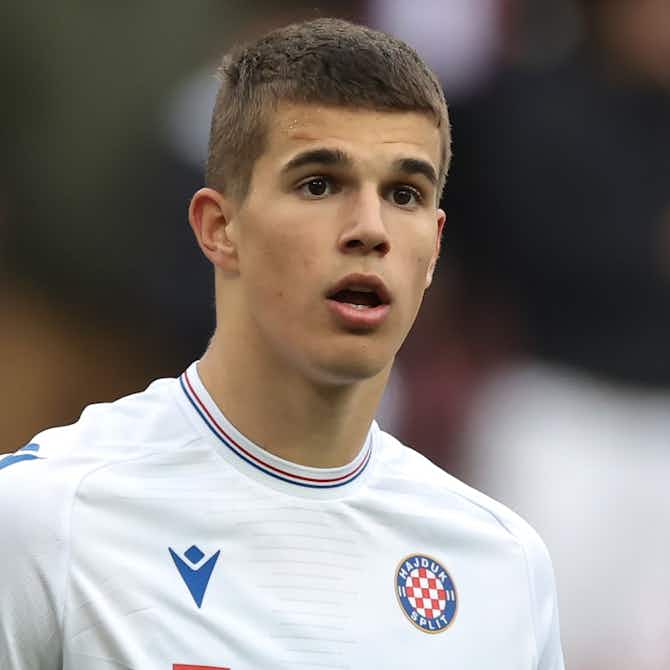 Preview image for Tottenham confirm agreement to sign Luka Vuskovic
