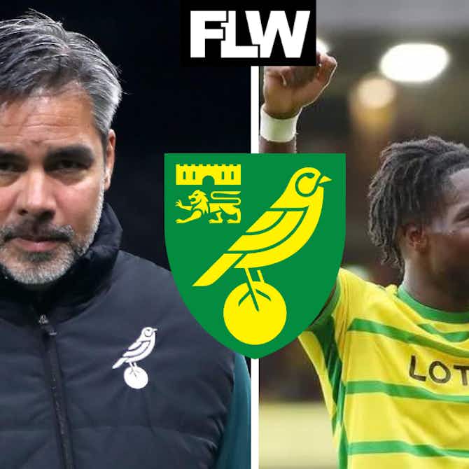 Preview image for Norwich City latest: Wagner on Jon Rowe issue, Gabriel Sara revelation, Josh Sargent injury