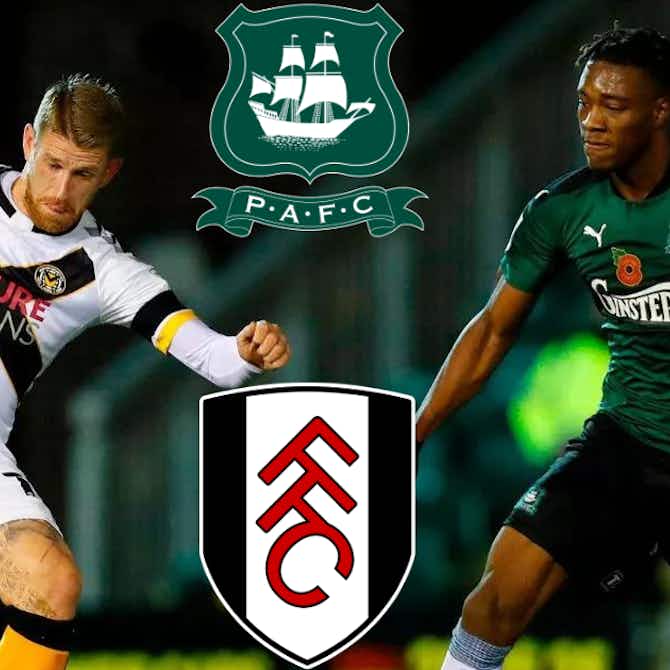Preview image for You would be forgiven for forgetting Fulham and Plymouth Argyle transfer ever happened: View