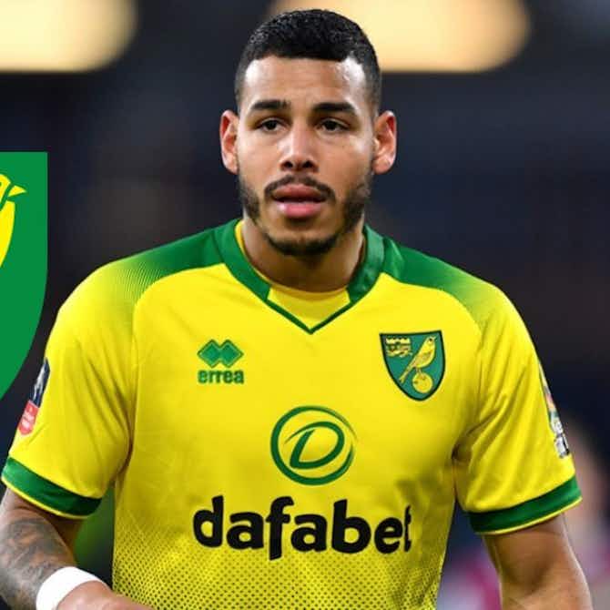 Preview image for "One year will be enough" - Norwich City player tipped to depart at end of 2024-25 season
