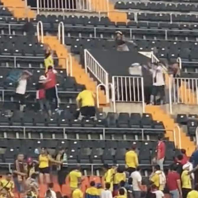 Anteprima immagine per 🎥Spinte, calci e lanci di oggetti: rissa tra tifosi colombiani a Valencia