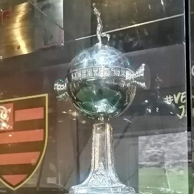 Anteprima immagine per Da domani si decidono le semifinaliste della Copa Libertadores. Esclusiva su Mola Tv