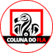 Logo: Coluna do Fla