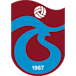 Logo: Logo: Trabzonspor