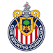 Logo: Logo: Club Deportivo Guadalajara