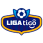 Logo: Primera División de Bolivia
