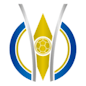 Logo : Brasileiro de Futebol Feminino