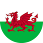 Logo : Pays de Galles Femmes