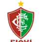 Logo : EC Fluminense PI