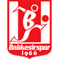 Logo : Balikesirspor