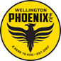Logo : Wellington Phoenix