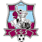 Symbol: FC Sfintul Gheorghe