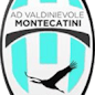 Icon: Valdinievole Montecatini