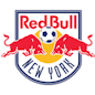 Icon: N.Y. Red Bulls