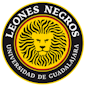 Icon: L. Negros II