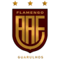 Logo: Flamengo-SP sub-20