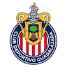 Icon: Club Deportivo Guadalajara