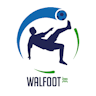 Icon: Walfoot.be