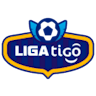 Icon: Primera División de Bolivia