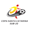 Icon: Copa Santa Catarina