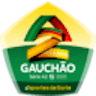 Logo: Gaúcho 2