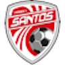 Icon: Santos de Guapiles