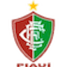 Icon: Fluminense PI sub-20