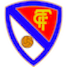 Icon: Terrassa FC