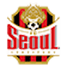 Icon: FC Seoul