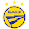 Icon: FC BATE Borisov