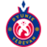 Icon: FC Pyunik