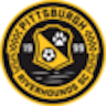 Icon: Pittsburgh Riverhounds SC