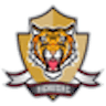 Icon: Tigres FC