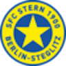 Icon: Stern